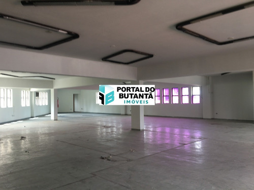 Imagem 1 de 9 de Galpao - Gl00001 - 67639493
