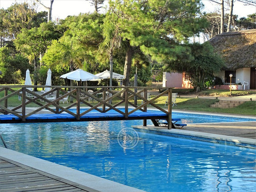 Anaconda Club En La Paloma