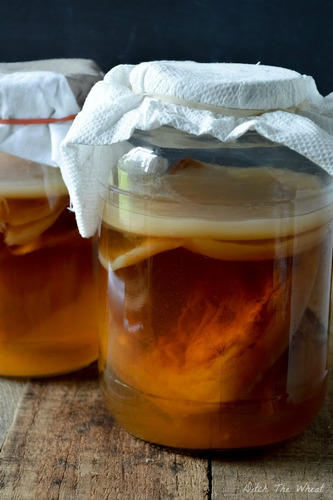 Hidromiel Kit Inicio Con Jun Tea Probiótico Natural Hazlo Tu