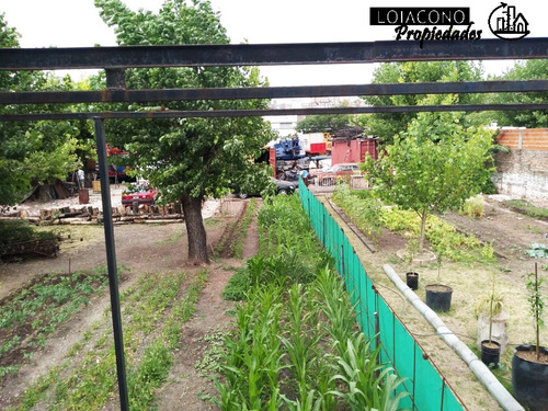 Imagen 7 de 10 de Lotes 4700m2 - Berón De Astrada 6200- Loiacono Propiedades