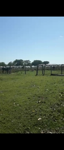 Vendo Fazenda De 1700hec Pecuaria/cultura Em Roraima (6096)