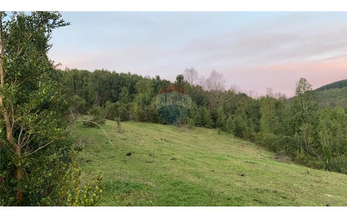 Tu Refugio Natural Cerca Del Lago Ranco