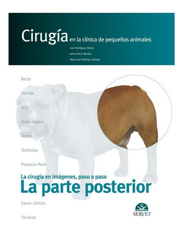 La Parte Posterior. Cirugía En La Clínica De Pequeños Animales, De José Rodriguez. Editorial Servet, Tapa Dura En Español, 2005