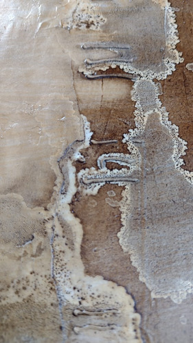 Imagen 4 de 10 de Obra De Arte Cuadro Original Tecnica Mixta Relieve