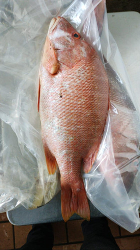 Imagen 5 de 10 de Pescado Marisco Y Cortes