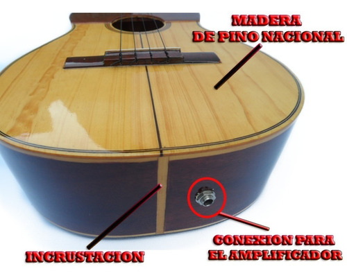 Cuatro Profesional De Concierto 17 Trastes Electroacústico