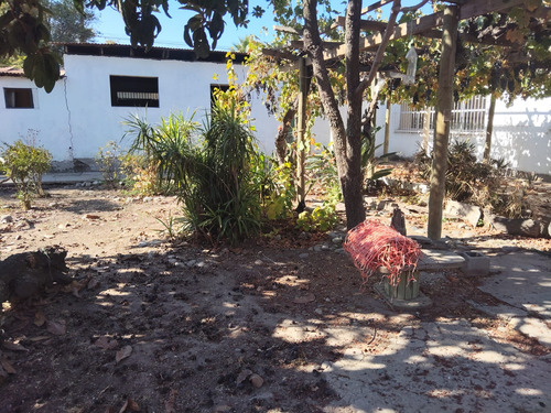 Se Vende Terreno En La Comuna De Quillota
