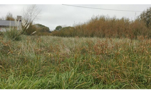 Terreno En Venta En Las Toninas, De La Costa