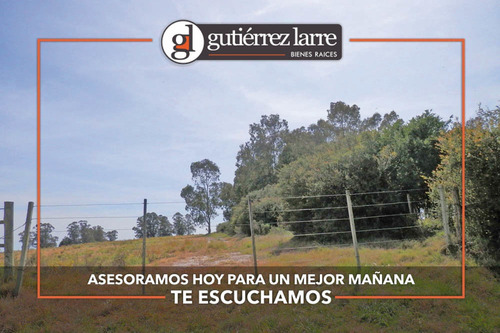 Campo 28 Ha Panorámicas Con Buenas Aguadas Naturales