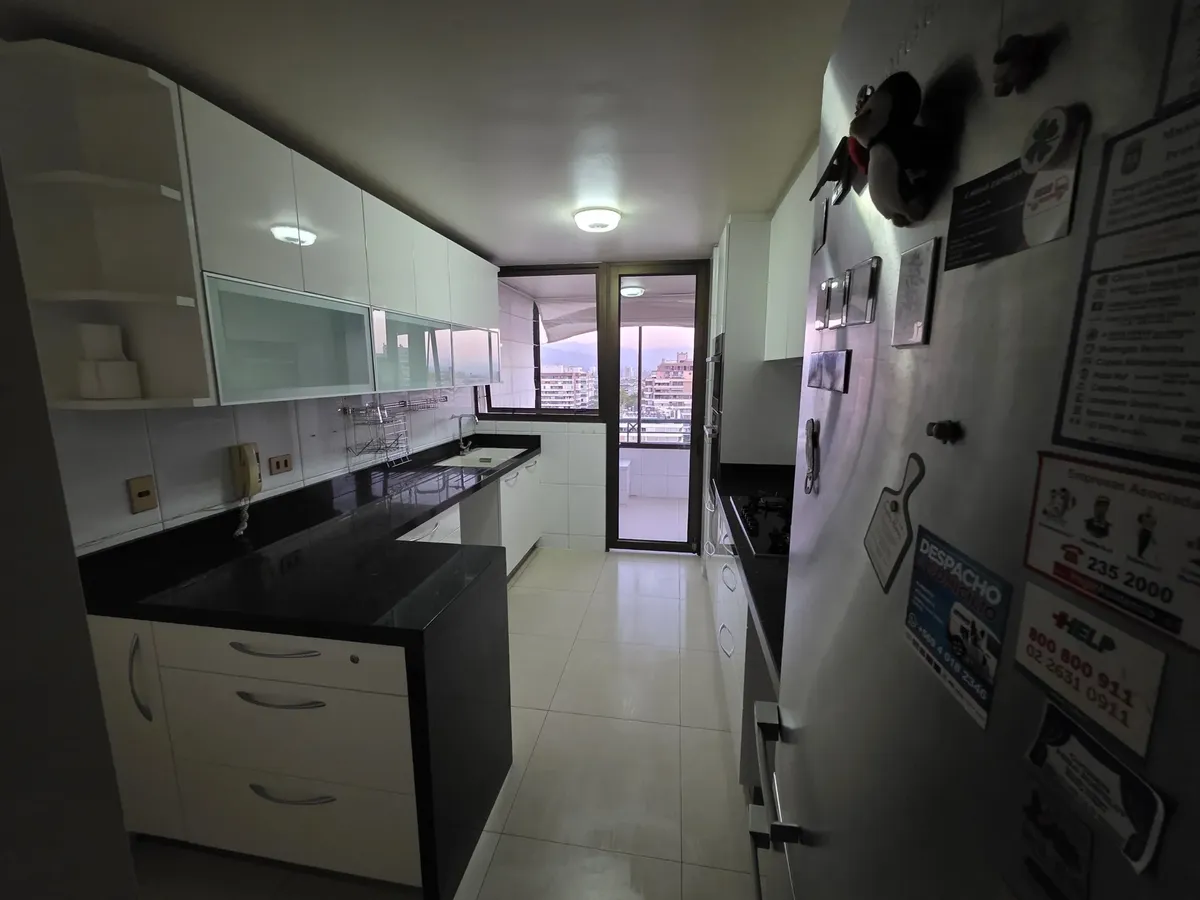 Imagen 3 de 20 de Depto Providencia 4d+3b | Vista Cordillera | Miele