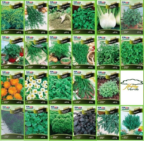 Imagem 1 de 6 de Sementes De Ervas Temperos E Plantas Medicinais - 32 Pacotes