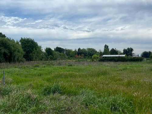 Se Vende Terreno 5000 M2, Cam. A Cantarrana, A 2 Km De L.a