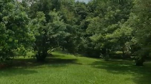 Imagem 10 de 12 de Chácara Com 1 Dormitório À Venda, 3196 M² Por R$ 2.000.000,00 - Estância Das Flores - Vinhedo/sp - Ch0160