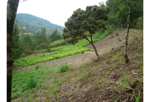 Finca En Vender En Guarne