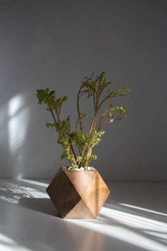 Maceta Tipo Nórdica De Madera Diseño Geo