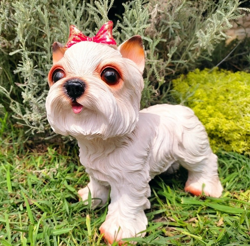 Alcancía Cachorro Yorkie Decoración En Resina Artesanía 