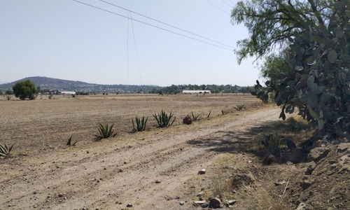 Terreno En Temascalapa, Edo. Méx. Sup. 19 Hectáreas