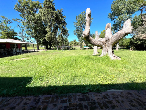 Hermosa Casa Quinta (barrio Los Antiguos)