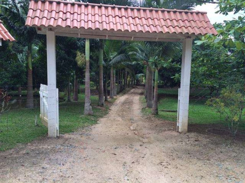 Excelente Chacara Em Camboríú. 100% Plana.lagos De Peixes - Dv019 - 3092046
