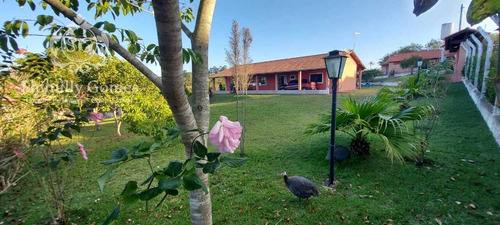 Imagem 8 de 13 de 3.000 M², 03 Dormitórios, Piscina, Pomar E Horta !!