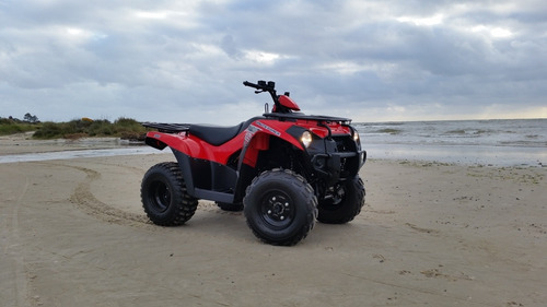 Kawasaki Brute Force 300