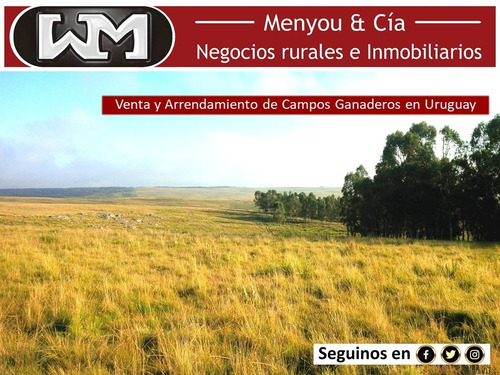 Venta Campo Chacra En Flores 5 Has 8km De Trinidad Flores