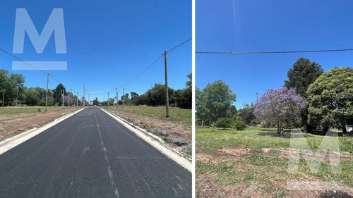 Lote En Venta En Villa Elvira