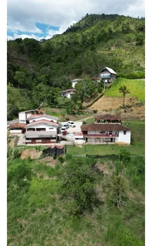 Finca Cafetera En Venta En Andes - Antioquia