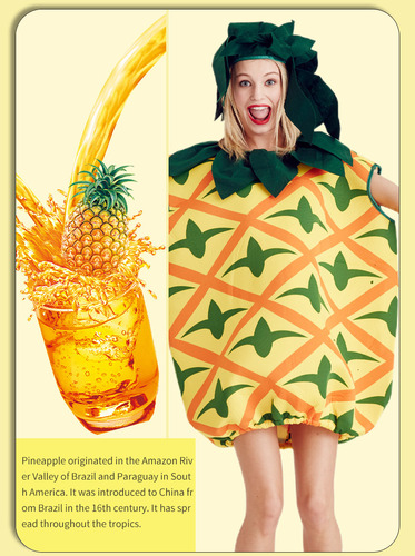 Halloween Spoof Divertido Fruta Piña Forma Cos Disfraz