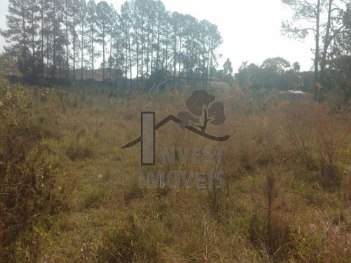 Imagem 5 de 6 de Cód 1833 - Terreno De 9.212 M² - 1833
