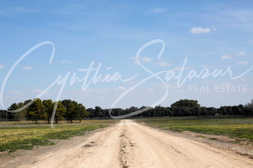 Venta Lote Carlos Keen Chacras De San Andres Oportunidad