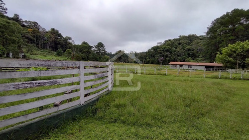 Imagem 5 de 30 de Mini Haras - 213 - 70588973