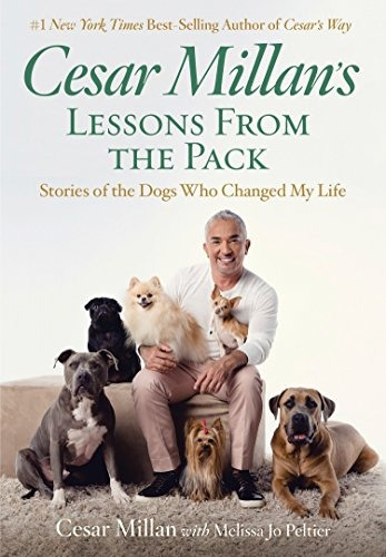 Cesar Millans Lecciones Del Pack Historias De Los Perros Que