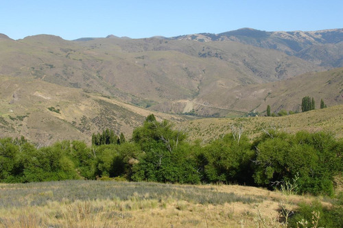 Imagen 9 de 30 de Campo En Venta Zona Alumine, Neuquén