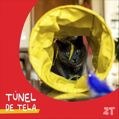 Imagen 3 de 10 de Túnel Para Gatos Plegable Huron Conejos Zootec Entrenamiento