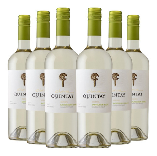 6 Vinos Quintay Clava Sauvignon Blanc