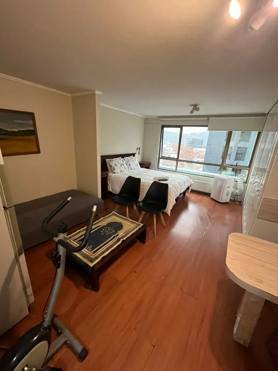 Imagen 2 de 12 de Departamento Central Providencia
