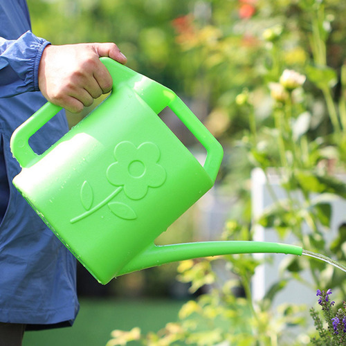 Regadera Para Plantas De Interior Regadera De Flores Con