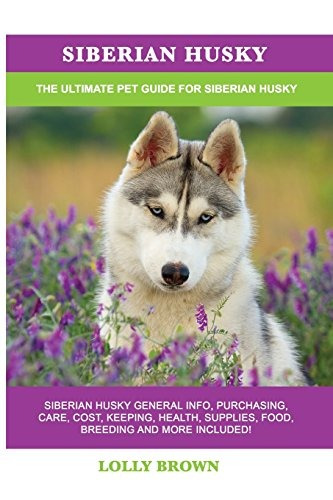 Siberian Husky Siberian Husky General Info, Purchasing, Care