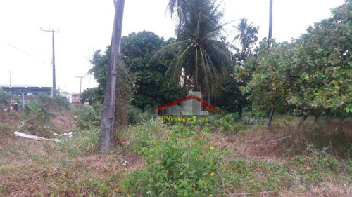 Imagem 18 de 30 de Terreno Comercial À Venda ,na Av.godofredo Maciel - Te0042