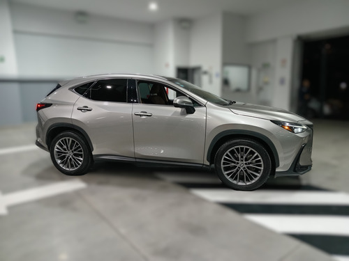 Lexus Nx 2022