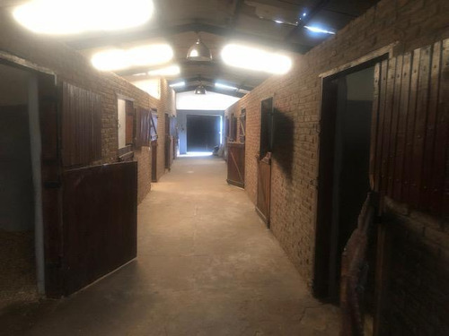 Imagen 10 de 30 de Campo Con Casa Y Boxes En Venta Con Renta - Capilla Del Señor - Exaltacion De La Cruz