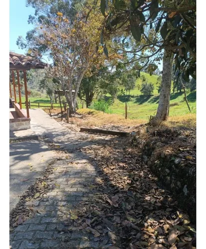 Vendo Finca Carolina Del Príncipe 11 Hectáreas