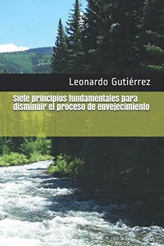 Libro Siete Principios Fundamentales Disminuir Proce