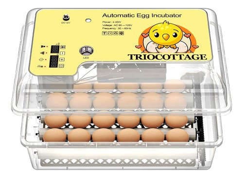 Incubadora De 24 Huevos Rotacion Automatica 
