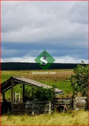 Venta De Campo En Treita Y Tres, 70 Hectareas Con Casa. - Ref: 168050