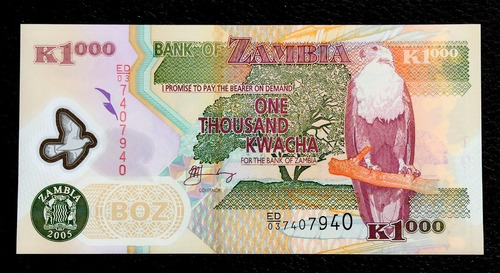 Zambia 1000 Kwacha 2005 Sin Circular Pick 44d