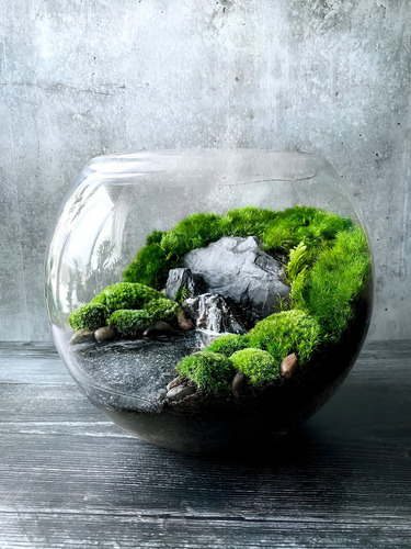 Terrario De Follaje Interior Con Luz Y Pulverizador - 24 Cm Verde