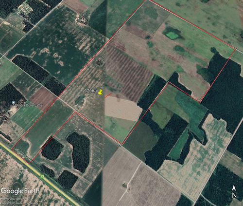 Imagen 3 de 4 de Imperdible !! Campo Agricola Chaco Gral Pinedo Acceso Por Ruta. Alquiler Fijo, Negociable