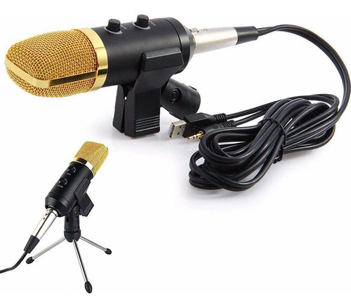 Microfone Condensador Usb Estúdio Gravação Bm100fx